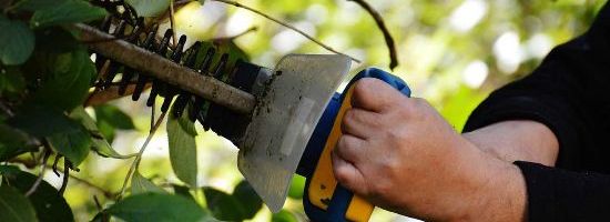 NSW: Q&A Strata Title Trees and Hedges - What Can & Can't the OC do?
