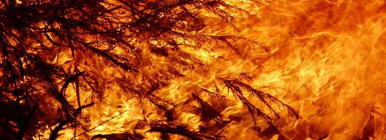 Bushfire Season