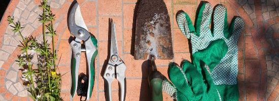 NSW: Q&A Do Strata Laws Stop Residents From Gardening?