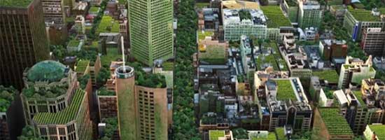 QLD: Green roofs