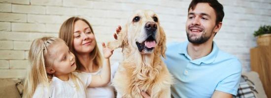 NSW: Q&A Keeping Pets in a Strata Building