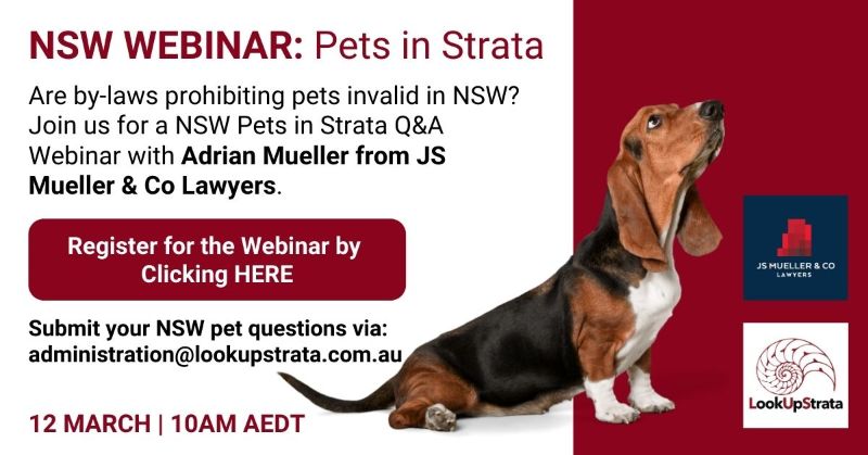 NSW Pets Webinar