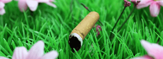 QLD Smoking Near Synthetic Turf