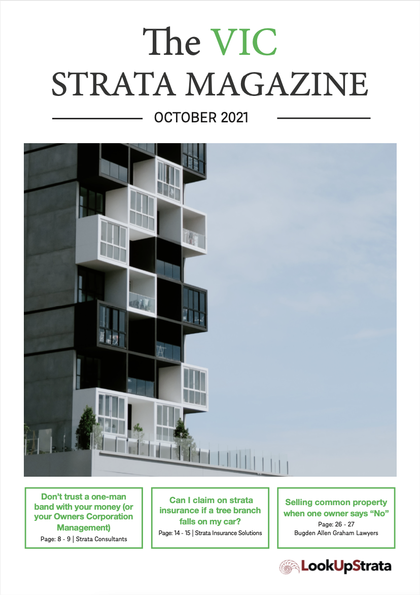 The VIC Strata Magazine